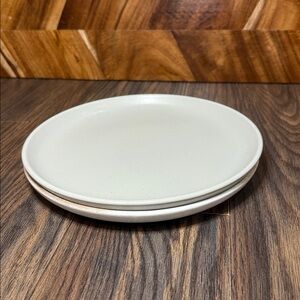 Costa Nova Casafina Stoneware Plates Set of 2